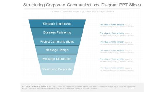 Structuring Corporate Communications Diagram Ppt Slides Structuring Corporate Communications Diagram Ppt Slides