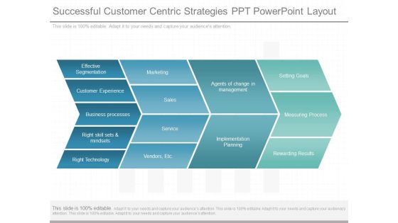 Successful Customer Centric Strategies Ppt Powerpoint Layout
