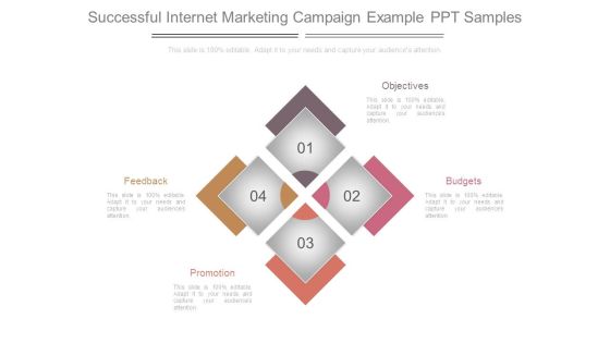 Successful Internet Marketing Campaign Example Ppt Samples Successful Internet Marketing Campaign Example Ppt Samples