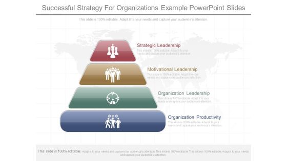 Successful Strategy For Organizations Example Powerpoint Slides