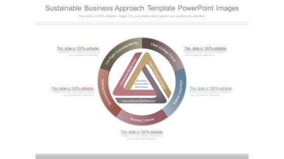 Sustainable Business Approach Template Powerpoint Images