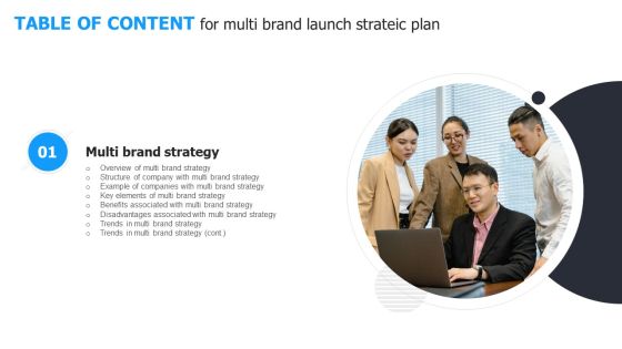 TABLE OF CONTENT For Multi Brand Launch Strateic Plan Slide Portrait PDF TABLE OF CONTENT For Multi Brand Launch Strateic Plan Slide Portrait PDF