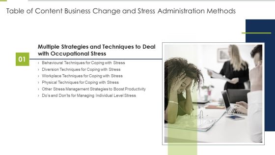 Table Of Content Business Change And Stress Administration Methods Rules Formats PDF
