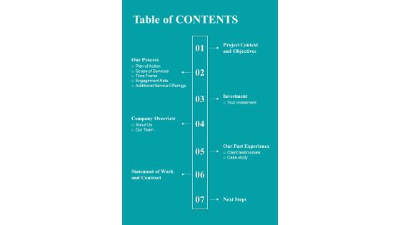 Table Of Contents Brand Representative Proposal Template One Pager Sample Example Document Table Of Contents Brand Representative Proposal Template One Pager Sample Example Document