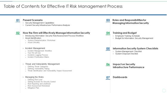 Table Of Contents For Effective IT Risk Management Process Summary PDF