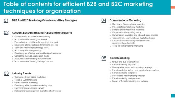 Table Of Contents For Efficient B2B And B2C Marketing Techniques For Organization Portrait PDF