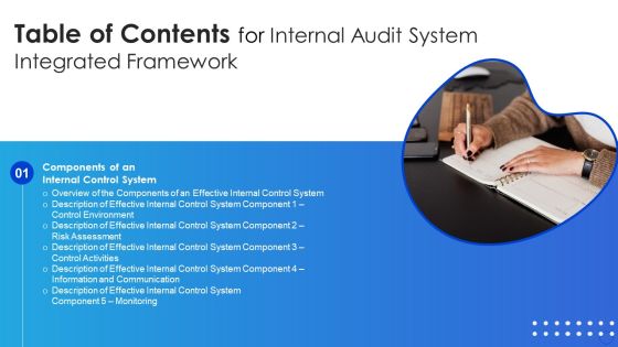 Table Of Contents For Internal Audit System Integrated Framework System Sample PDF Table Of Contents For Internal Audit System Integrated Framework System Sample PDF