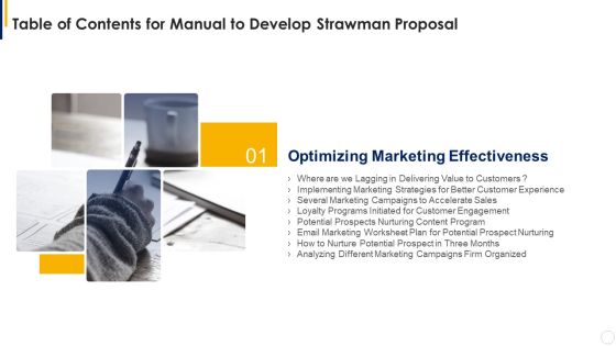 Table Of Contents For Manual To Develop Strawman Proposal Marketing Designs PDF
