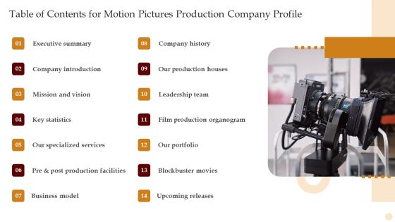 Table Of Contents For Motion Pictures Production Company Profile Pictures PDF