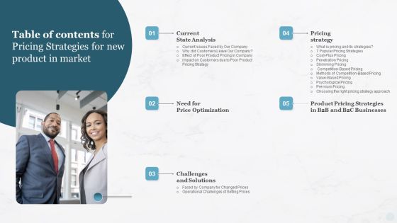 Table Of Contents For Pricing Strategies For New Product In Market Introduction PDF Table Of Contents For Pricing Strategies For New Product In Market Introduction PDF