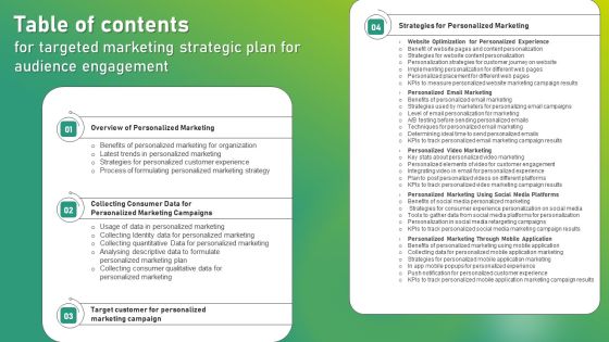 Table Of Contents For Targeted Marketing Strategic Plan For Audience Engagement Microsoft PDF