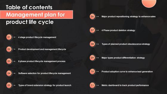 Table Of Contents Management Plan For Product Life Cycle Template PDF