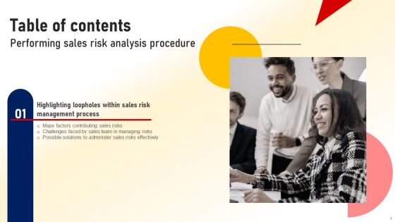 Table Of Contents Performing Sales Risk Analysis Procedure Inspiration PDF
