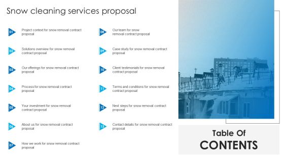 Table Of Contents Snow Cleaning Services Proposal Ppt File Aids PDF