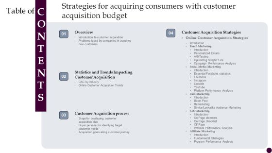 Table Of Contents Strategies For Acquiring Consumers With Customer Acquisition Budget Professional PDF Table Of Contents Strategies For Acquiring Consumers With Customer Acquisition Budget Professional PDF