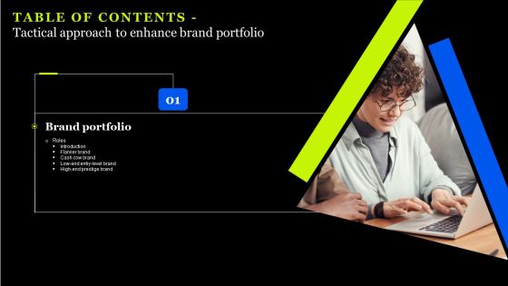 Tactical Approach To Enhance Brand Portfolio Table Of Contents Professional PDF