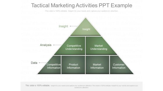 Tactical Marketing Activities Ppt Example Tactical Marketing Activities Ppt Example