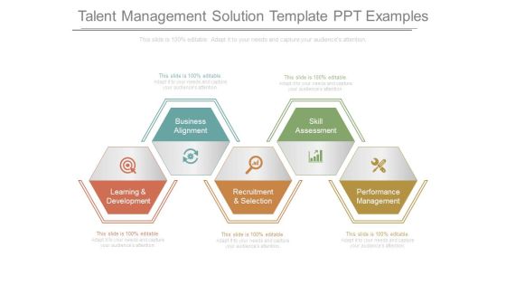 Talent Management Solution Template Ppt Examples
