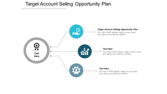 Target Account Selling Opportunity Plan Ppt PowerPoint Presentation Infographics Slide Cpb