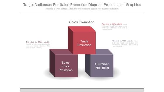 Target Audiences For Sales Promotion Diagram Presentation Graphics Target Audiences For Sales Promotion Diagram Presentation Graphics
