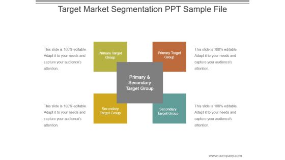 Target Market Segmentation Ppt Sample File Target Market Segmentation Ppt Sample File