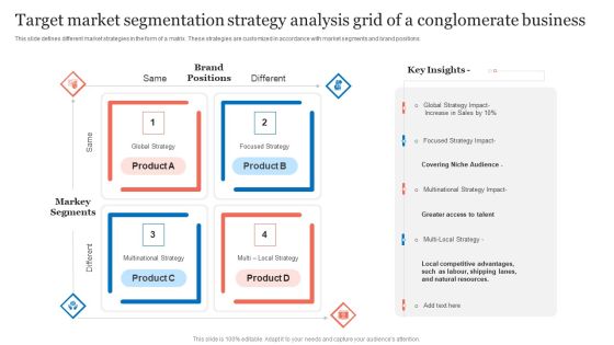 Target Market Segmentation Strategy Analysis Grid Of A Conglomerate Business Mockup PDF