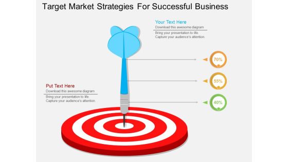 Target Market Strategies For Successful Business Powerpoint Template Target Market Strategies For Successful Business Powerpoint Template
