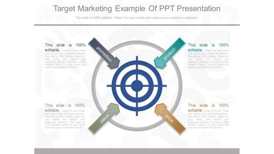 Target Marketing Example Of Ppt Presentation