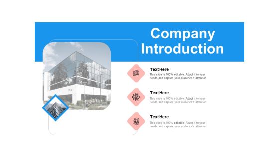 Target Persona Company Introduction Ppt Slides Gallery PDF Target Persona Company Introduction Ppt Slides Gallery PDF