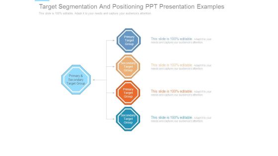 Target Segmentation And Positioning Ppt Presentation Examples Target Segmentation And Positioning Ppt Presentation Examples