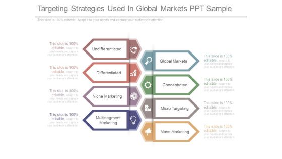 Targeting Strategies Used In Global Markets Ppt Sample Targeting Strategies Used In Global Markets Ppt Sample