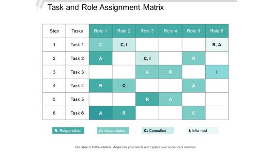Task And Role Assignment Matrix Ppt Powerpoint Presentation Professional Ideas Task And Role Assignment Matrix Ppt Powerpoint Presentation Professional Ideas