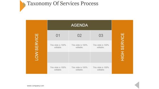 Taxonomy Of Services Process Ppt PowerPoint Presentation Icon Template Taxonomy Of Services Process Ppt PowerPoint Presentation Icon Template