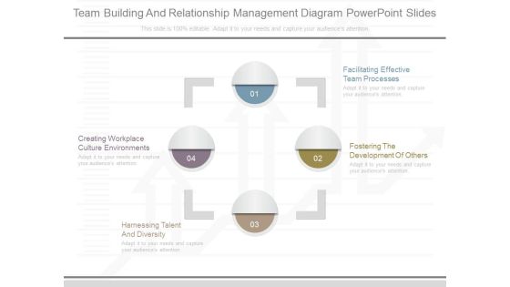 Team Building And Relationship Management Diagram Powerpoint Slides