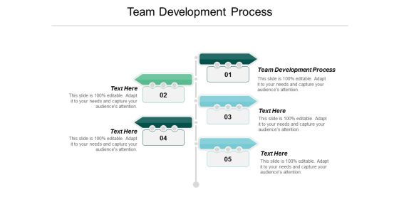 Team Development Process Ppt Powerpoint Presentation Professional Format Ideas Cpb Team Development Process Ppt Powerpoint Presentation Professional Format Ideas Cpb
