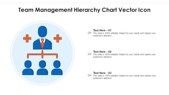 Team Management Hierarchy Chart Vector Icon Ppt Visual Aids Layouts PDF Team Management Hierarchy Chart Vector Icon Ppt Visual Aids Layouts PDF