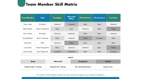 Team Member Skill Matrix Ppt PowerPoint Presentation Gallery Inspiration