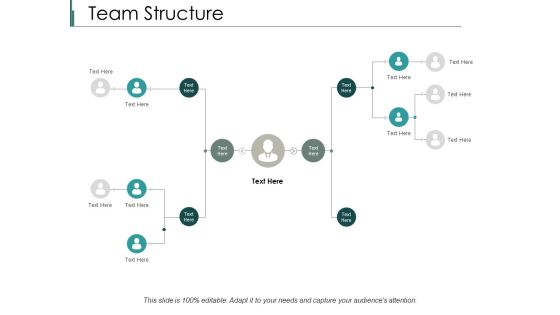 Team Structure Ppt PowerPoint Presentation Icon Design Templates