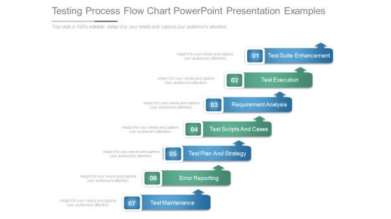 Testing Process Flow Chart Powerpoint Presentation Examples