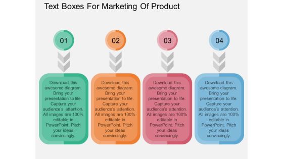 Text Boxes For Marketing Of Product Powerpoint Template Text Boxes For Marketing Of Product Powerpoint Template