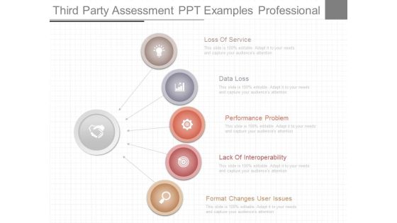 Third Party Assessment Ppt Examples Professional Third Party Assessment Ppt Examples Professional