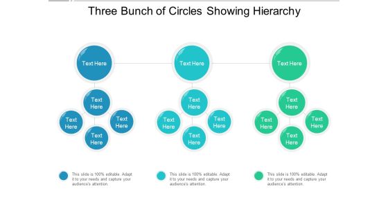 Three Bunch Of Circles Showing Hierarchy Ppt Powerpoint Presentation Portfolio Sample Three Bunch Of Circles Showing Hierarchy Ppt Powerpoint Presentation Portfolio Sample