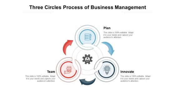 Three Circles Process Of Business Management Ppt PowerPoint Presentation Gallery Pictures PDF Three Circles Process Of Business Management Ppt PowerPoint Presentation Gallery Pictures PDF