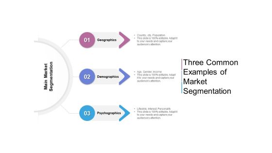 Three Common Examples Of Market Segmentation Ppt PowerPoint Presentation Inspiration Slideshow PDF Three Common Examples Of Market Segmentation Ppt PowerPoint Presentation Inspiration Slideshow PDF