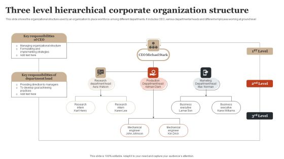 Three Level Hierarchical Corporate Organization Structure Pictures PDF