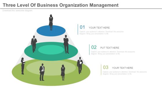 Three Level Management Team Diagram Powerpoint Slides Three Level Management Team Diagram Powerpoint Slides