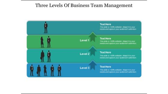 Three Levels Of Business Team Management Ppt PowerPoint Presentation Infographics Example Introduction