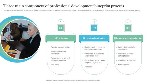 Three Main Component Of Professional Development Blueprint Process Demonstration PDF