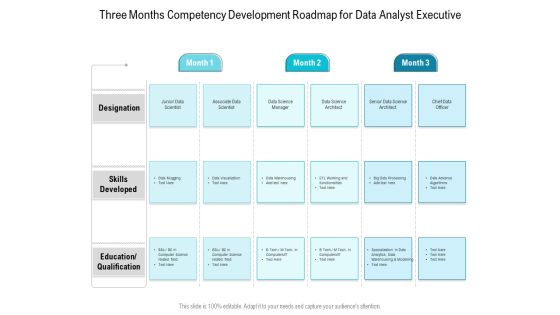 Three Months Competency Development Roadmap For Data Analyst Executive Elements Three Months Competency Development Roadmap For Data Analyst Executive Elements