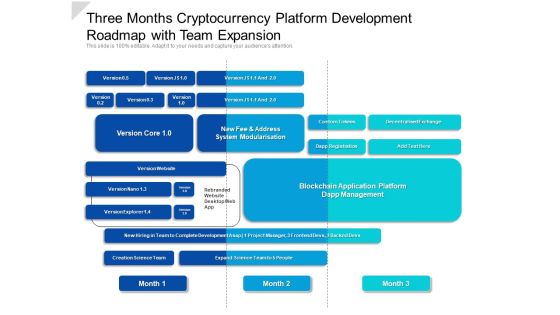 Three Months Cryptocurrency Platform Development Roadmap With Team Expansion Professional